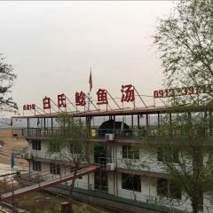 BAI SHI NIAN YU SHANG User Photo