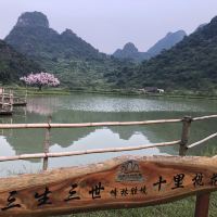 評論圖片 3