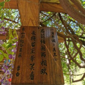 評論圖片 4