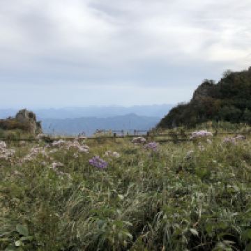 評論圖片 7