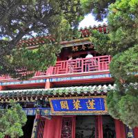 評論圖片 3