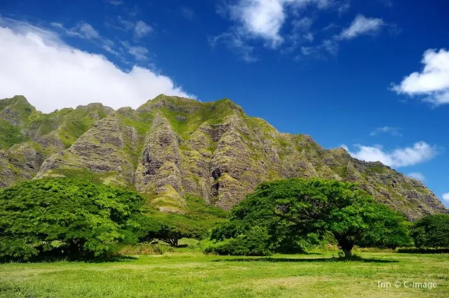 Jurassic Park experience: things to do in Kualoa Ranch