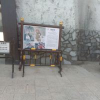 評論圖片 7