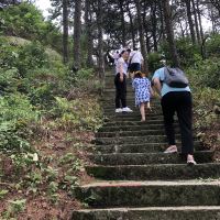 評論圖片 9