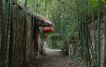 Bamboo Spring Village