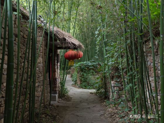 Bamboo Spring Village