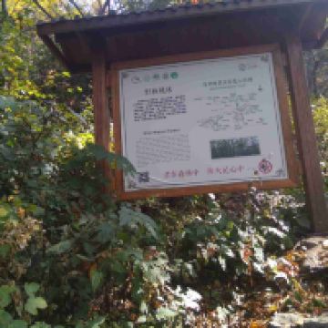 評論圖片 7