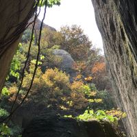 評論圖片 5