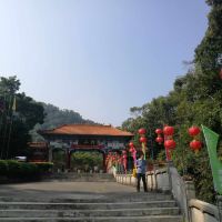評論圖片 1
