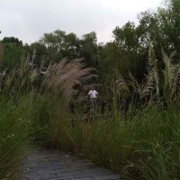 評論圖片 6