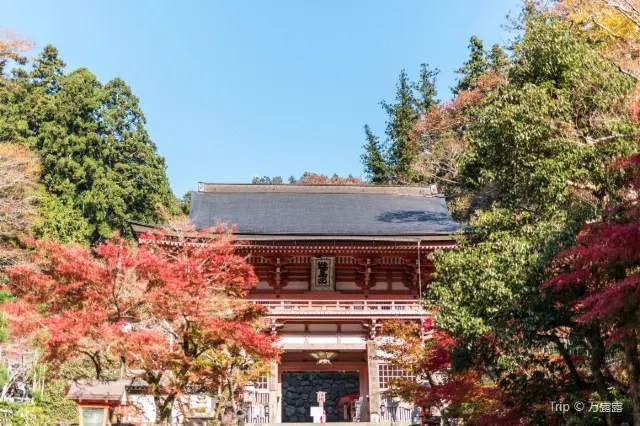    15 Beautiful Temples To Visit in Kyoto
