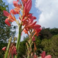 評論圖片 6