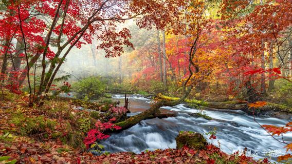 吉林延吉出發點對點單程拼車|包車來回包車xx