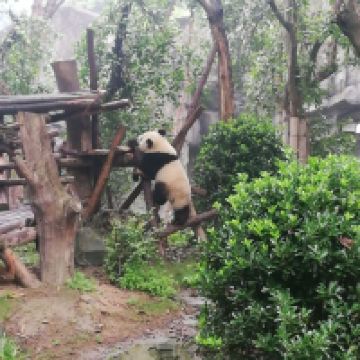 評論圖片 3