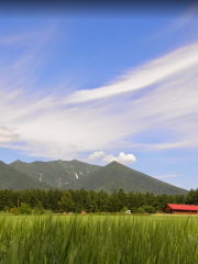 Furano Jingisukan Hitsuji no Oka