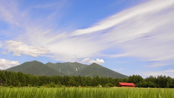Furano Jingisukan Hitsuji no Oka