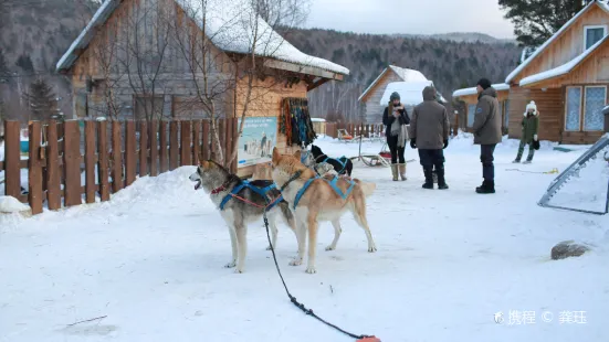 Baikal Dog Sledding Centre