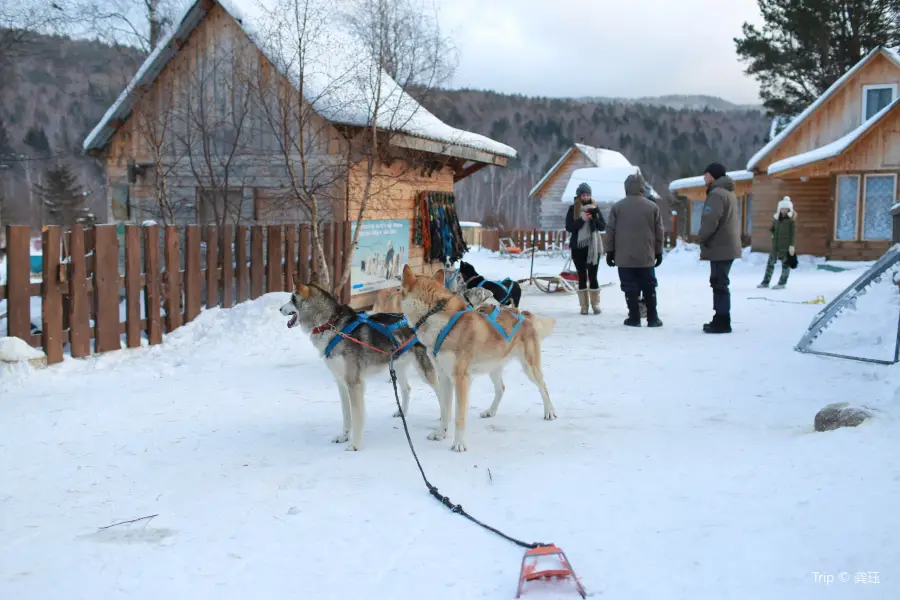 Baikal Dog Sledding Centre