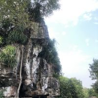 評論圖片 3