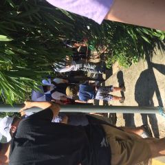 法蘭度餐廳張用戶圖片