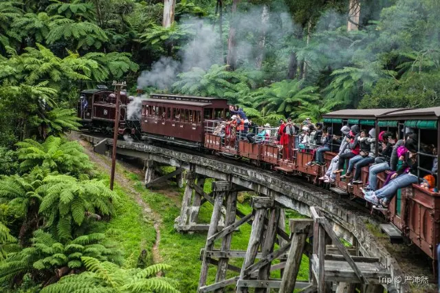 Admire the Nature Beauty: 10 Day Trips Ideas from Melbourne