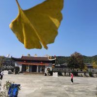 評論圖片 1