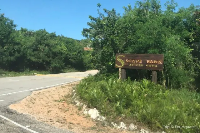 A Travel Guide to Punta Cana