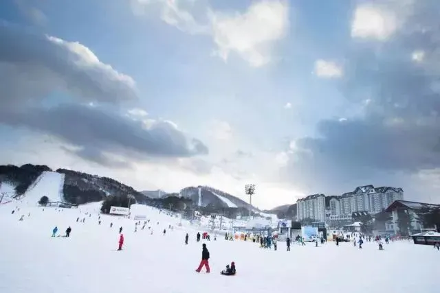 The Magic of Spring's White Ice and Snow with The Hint of Blooming Flowers