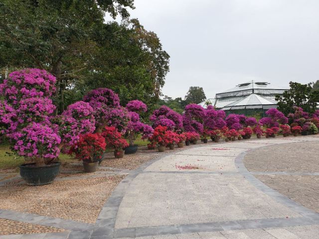 Chinese Academy of Sciences Huanan Botanical Garden