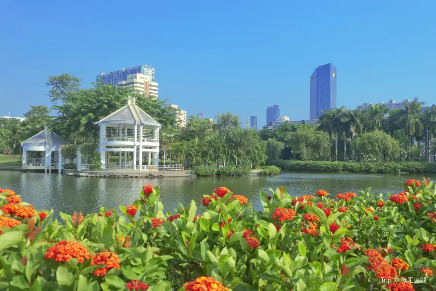 Xiamen Nanhu Park