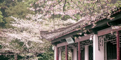2人起私家團黿頭渚三國城水滸城一日遊無錫蘇州常州泰州上門接送