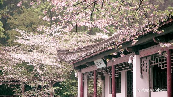 無錫日遊