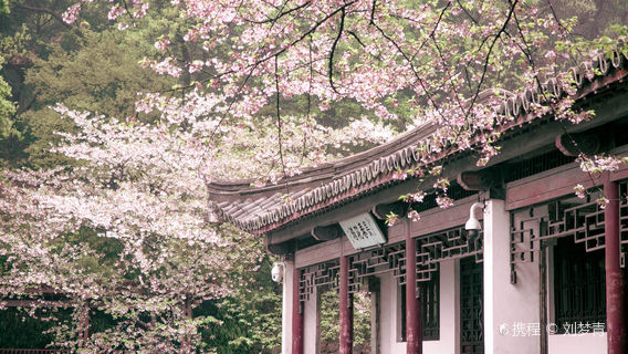 無錫日遊