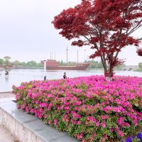 評論圖片 8