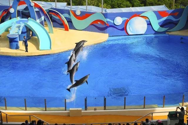 7 Must-Visit Places for A Hong Kong Family Tour