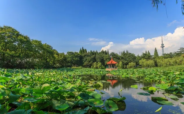 A Good Place to Take A Walk and See The Sea: Recommended in Qingdao City Park
