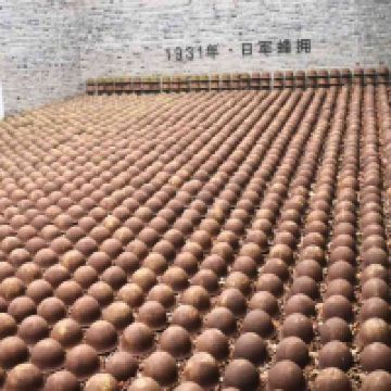 評論圖片 7