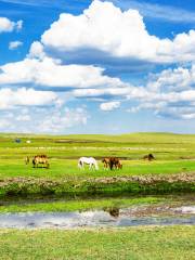 Mozhgrad Prairie Scenic Area