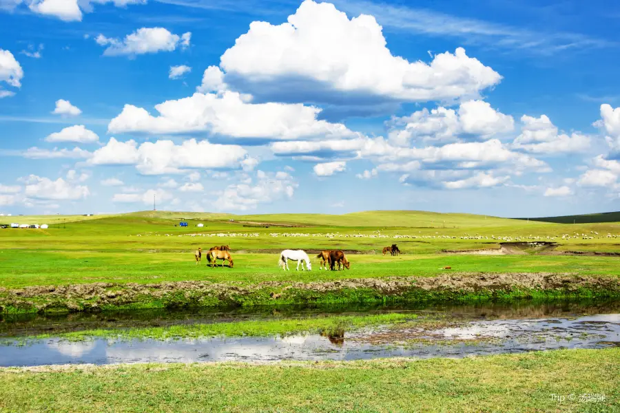 Mozhgrad Prairie Scenic Area