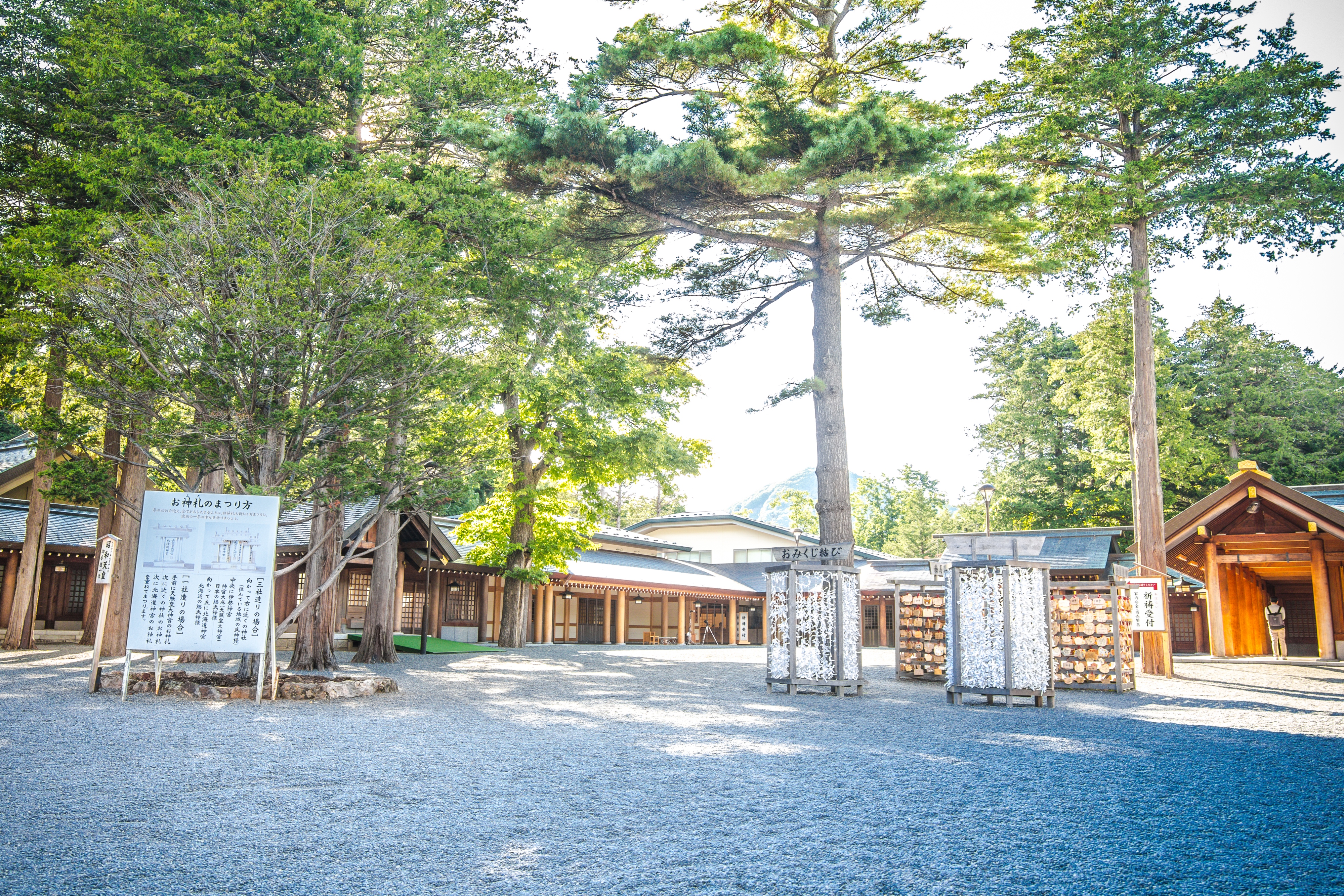 北海道 北海道神宮景點 美食 活動縂攻略遊記攻略 Trip Com遊玩攻略