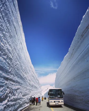 絕美日本新景點】2020 最新立山黑部開山資訊🗺️!遊記攻略-Trip.com