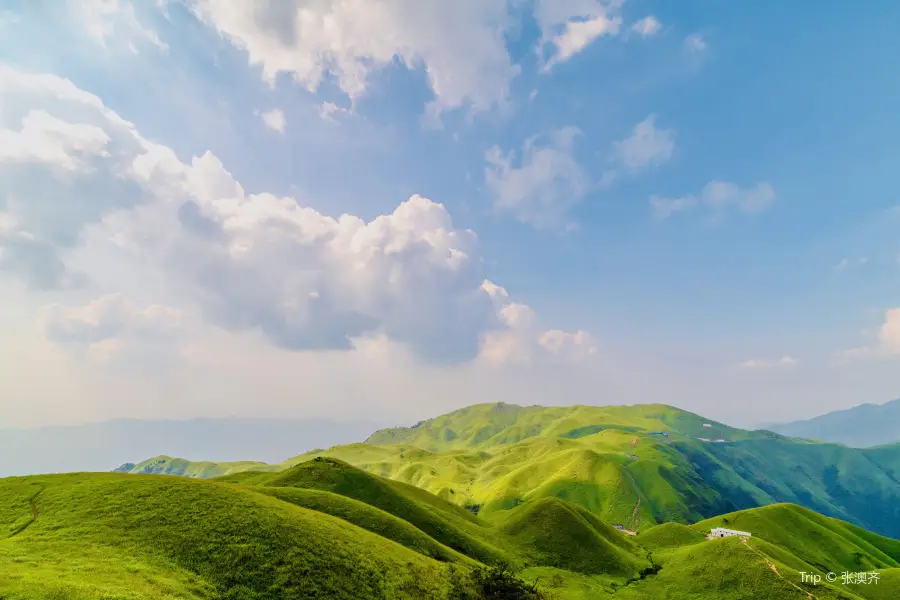 Fayunjie Sceneic Area