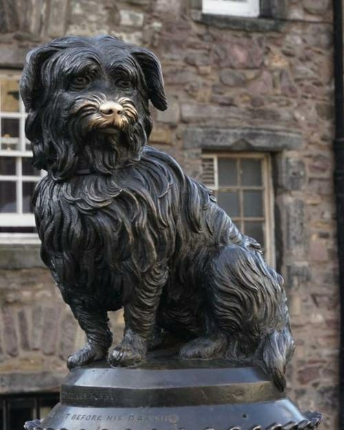 エディンバラ グレーフライアーズ ボビーの像 評判 案内 トリップドットコム