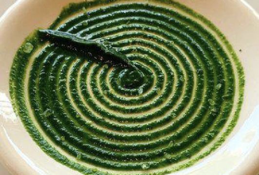 莫里哀用戶圖片