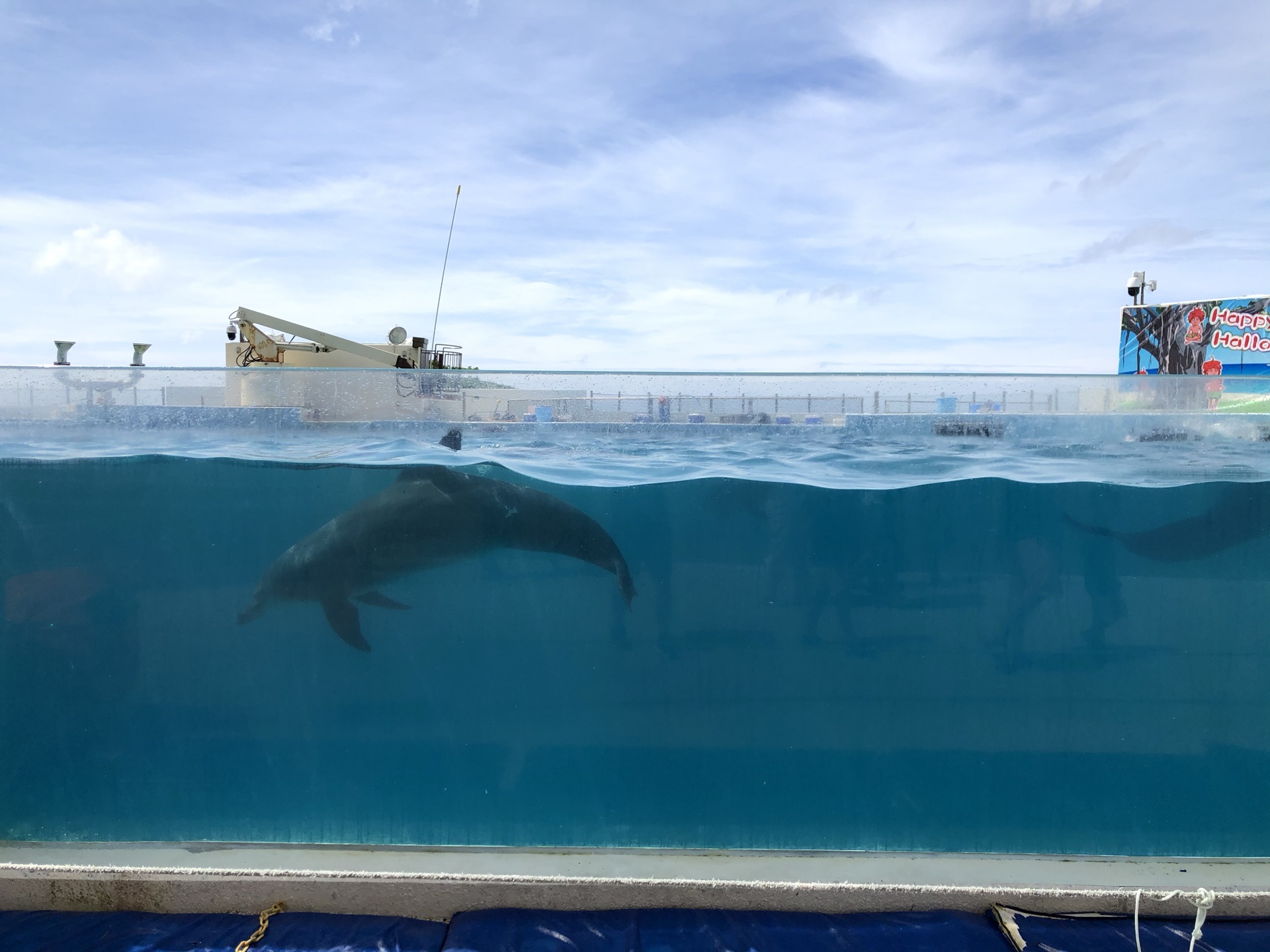 本部町 オキちゃん劇場 評判 案内 トリップドットコム