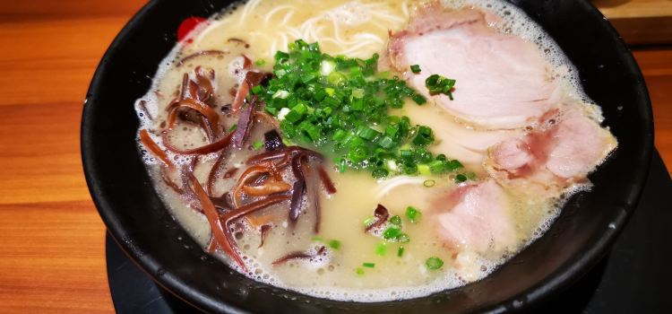 Kichi Plus
