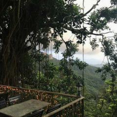 The Peak Lookout User Photo
