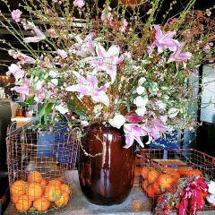 Peking Garden User Photo