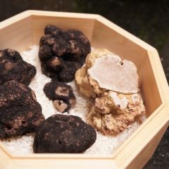 Drunken Fish User Photo