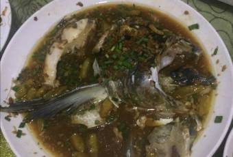 小葉魚頭館張用戶圖片